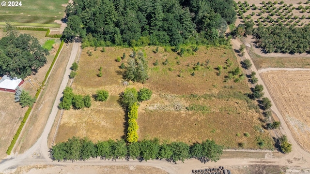 drone / aerial view featuring a rural view