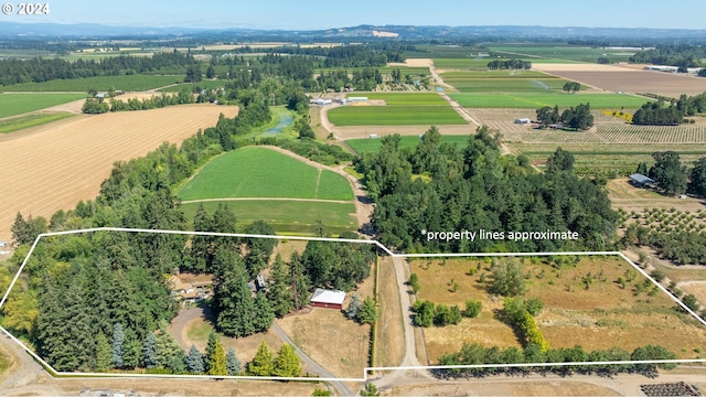 bird's eye view featuring a rural view