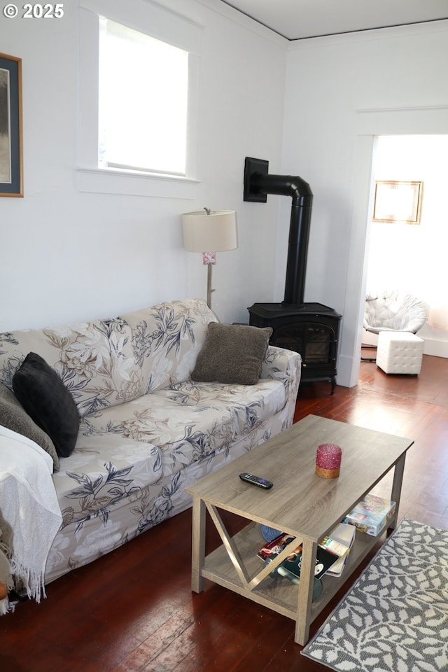 living room featuring dark hardwood / wood-style flooring and a wood stove