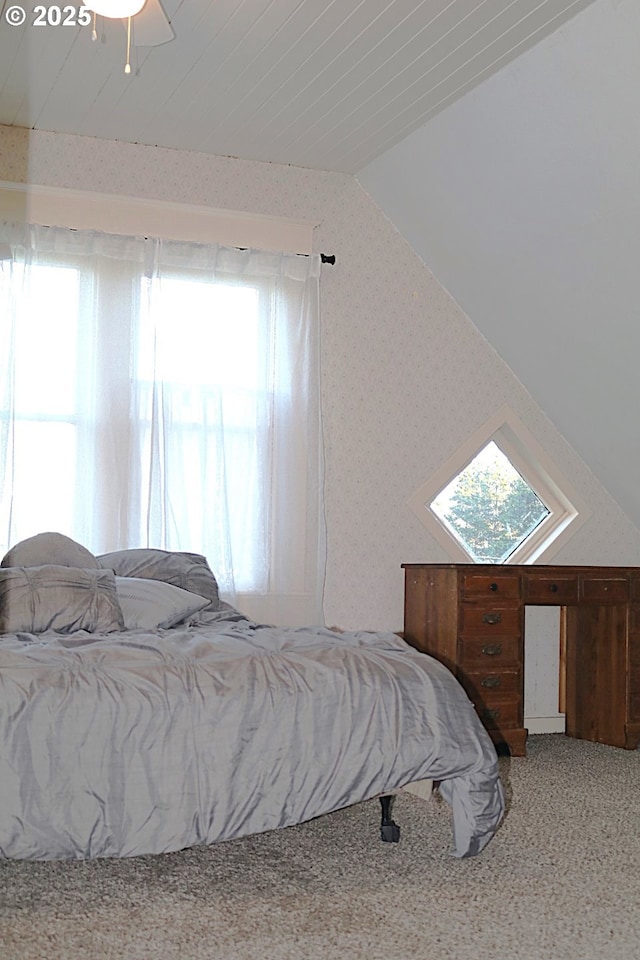 bedroom featuring multiple windows, ceiling fan, and vaulted ceiling with skylight