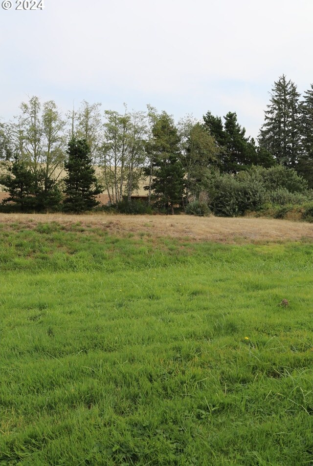 view of yard with a rural view