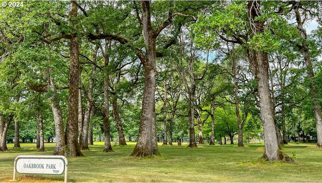 view of property's community featuring a yard