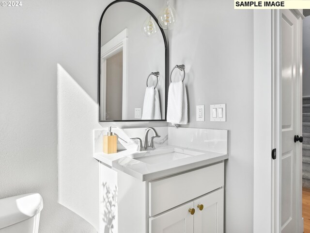 bathroom featuring toilet, vanity, and wood-type flooring