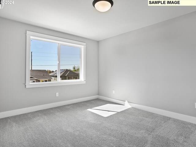 empty room featuring carpet