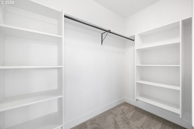 spacious closet with carpet