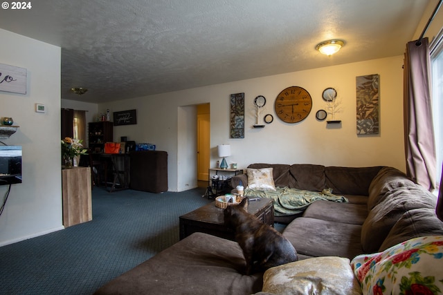 living room featuring carpet floors and a textured ceiling