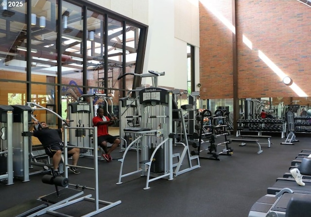 workout area featuring a healthy amount of sunlight