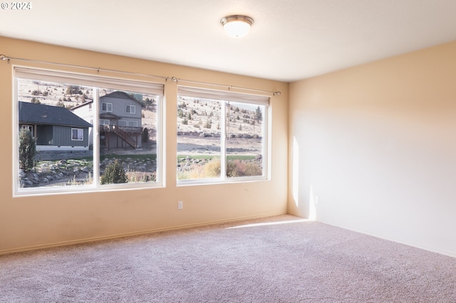421 Little Lake Rd, Maupin, OR 97037 - empty room featuring plenty of natural light, carpet, and baseboards