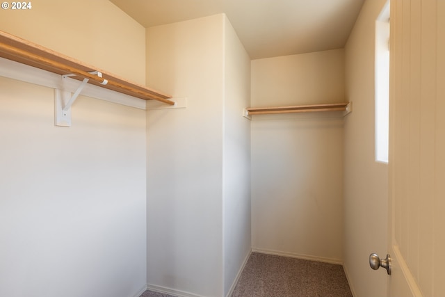 spacious closet with carpet