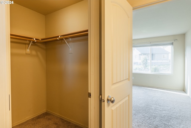 421 Little Lake Rd, Maupin, OR 97037 - walk in closet featuring carpet