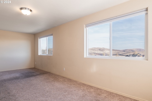 spare room featuring carpet flooring