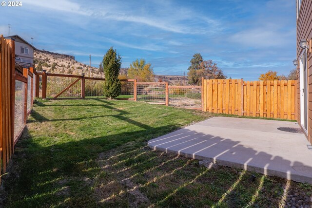 view of yard featuring a patio