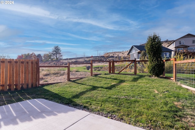 view of yard featuring a patio