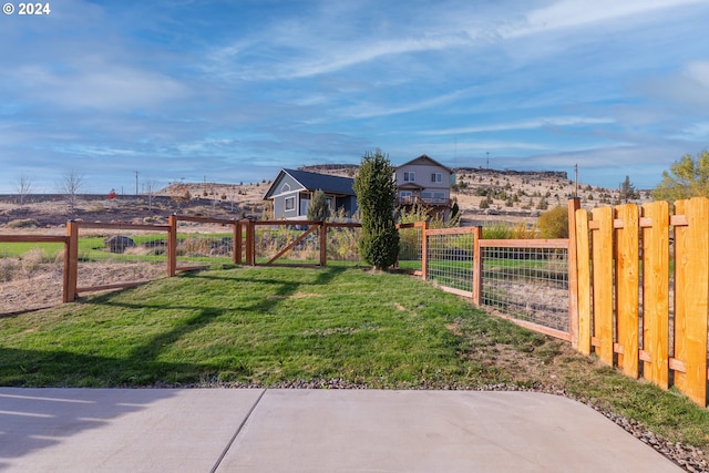 view of yard featuring a patio