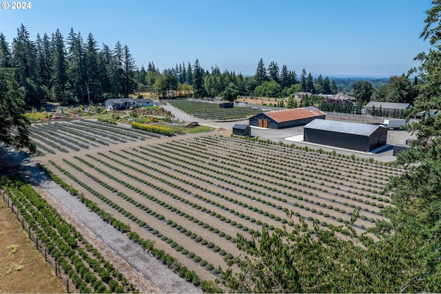 drone / aerial view featuring a rural view