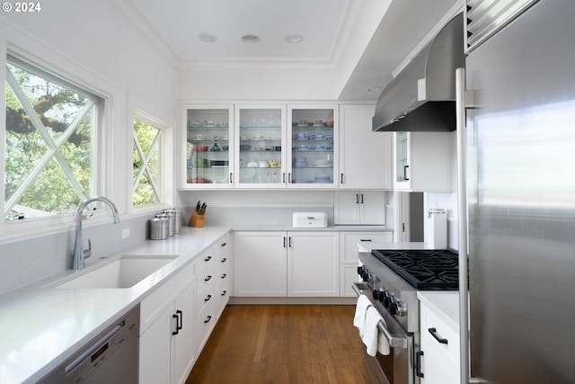 kitchen featuring ventilation hood, sink, white cabinets, and high end appliances