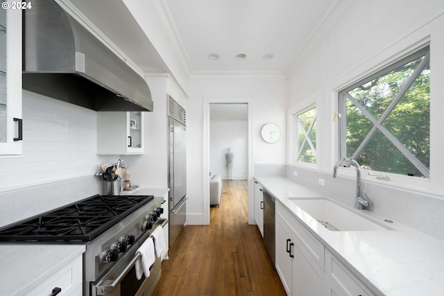 kitchen with sink, dark hardwood / wood-style floors, extractor fan, high quality appliances, and white cabinets