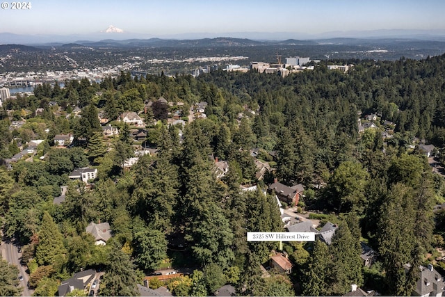 aerial view with a mountain view