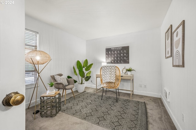 home office with carpet flooring and a wealth of natural light