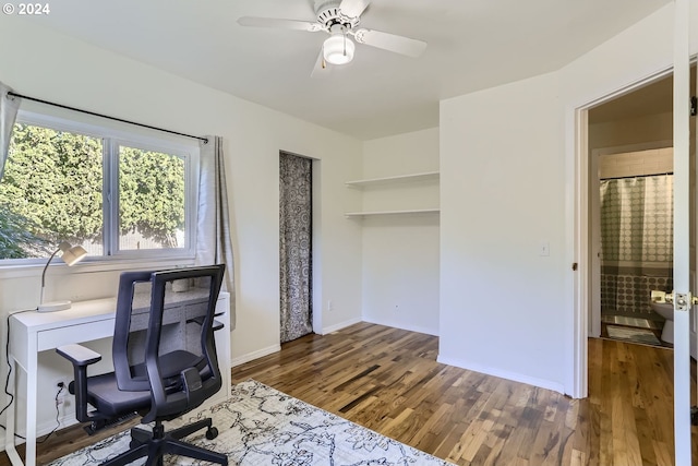 office featuring ceiling fan and dark hardwood / wood-style floors