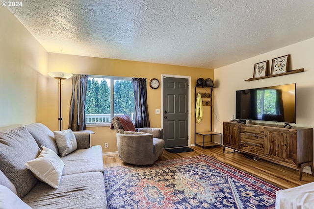 living room with a textured ceiling and hardwood / wood-style floors