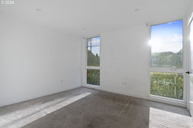 view of carpeted spare room