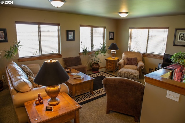 living room featuring carpet floors and a healthy amount of sunlight