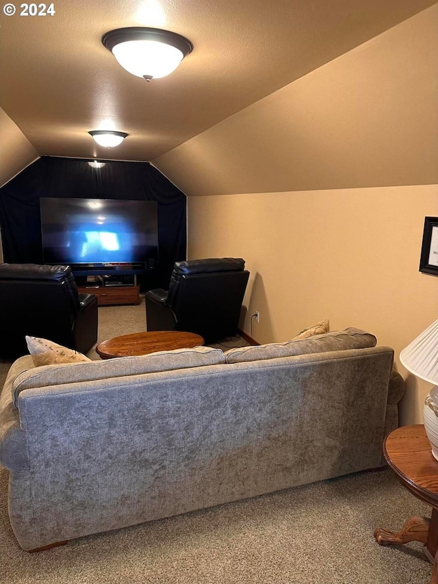 cinema featuring carpet, a textured ceiling, and vaulted ceiling