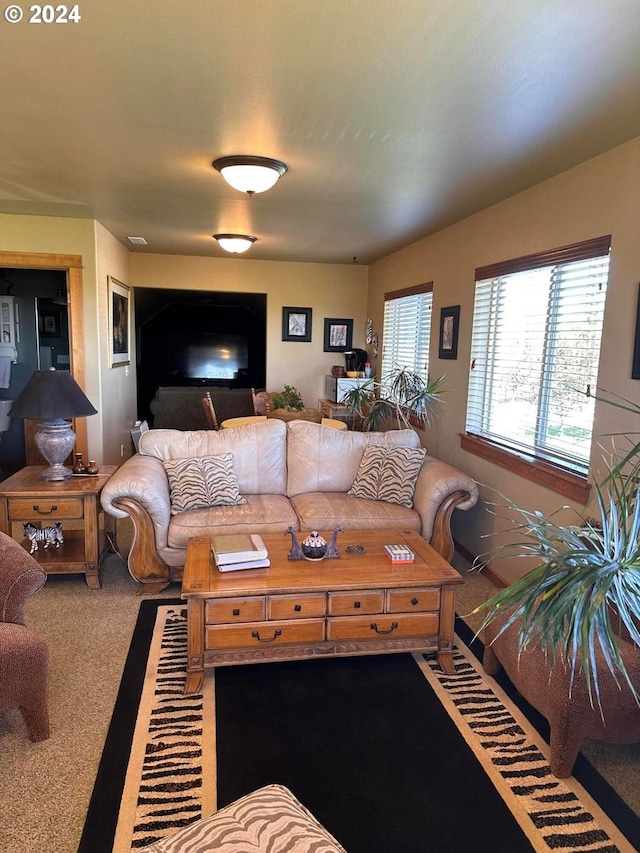 view of carpeted living room