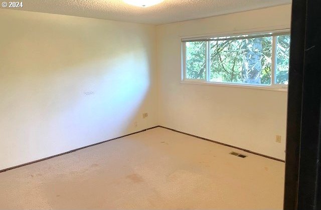 carpeted empty room featuring a textured ceiling