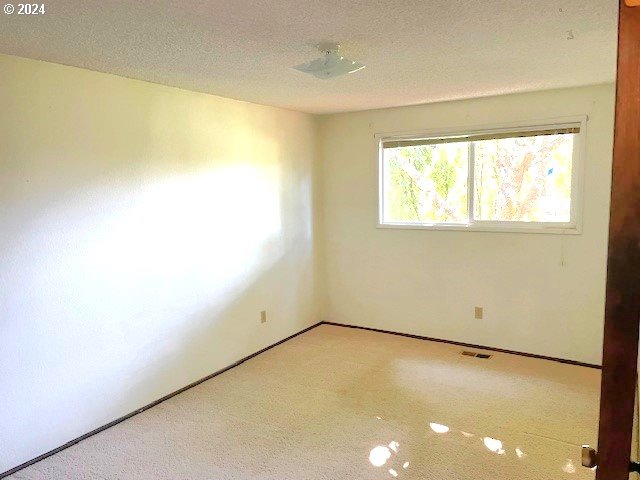 empty room featuring carpet floors and a textured ceiling