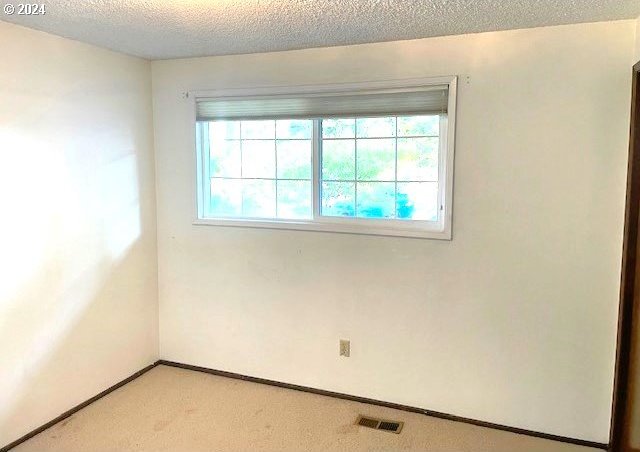 empty room with a textured ceiling