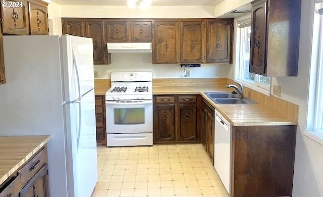 kitchen featuring dark brown cabinets, white appliances, sink, and exhaust hood