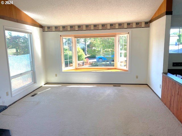 interior space featuring lofted ceiling and plenty of natural light