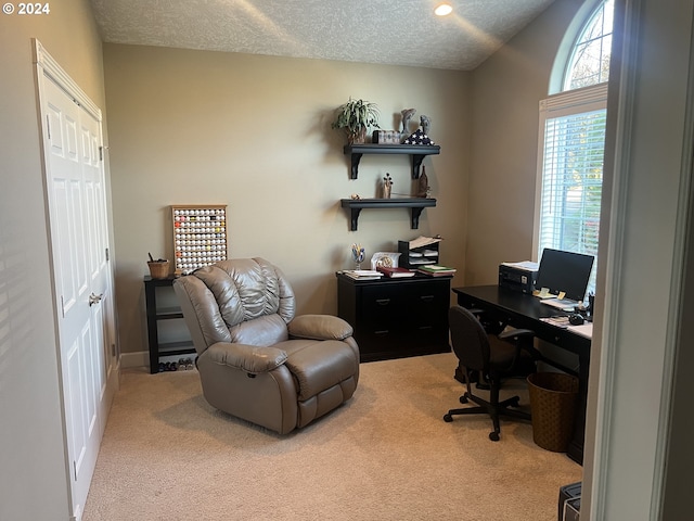 carpeted office space with a textured ceiling