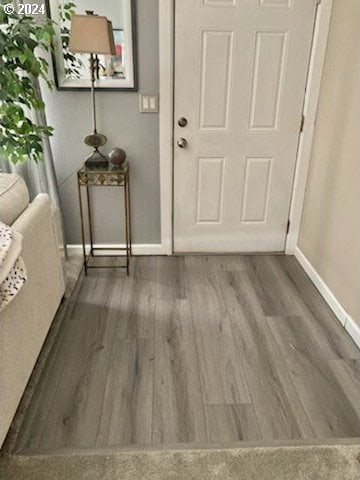 foyer with dark hardwood / wood-style floors