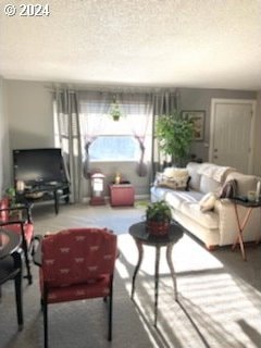 carpeted living room featuring a textured ceiling