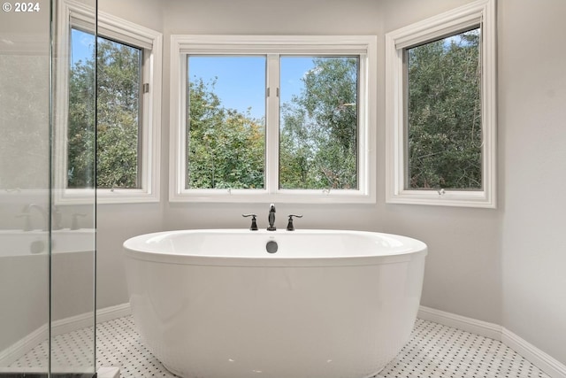 bathroom with a healthy amount of sunlight and a washtub