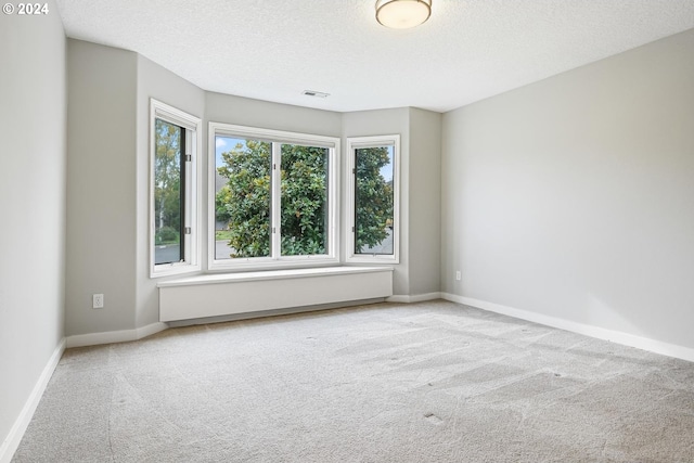 spare room with light carpet and a textured ceiling