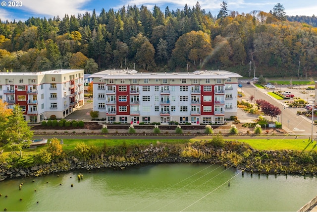 bird's eye view with a water view