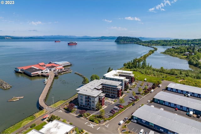 drone / aerial view with a water view