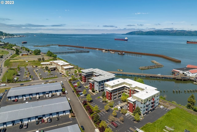 drone / aerial view with a water and mountain view