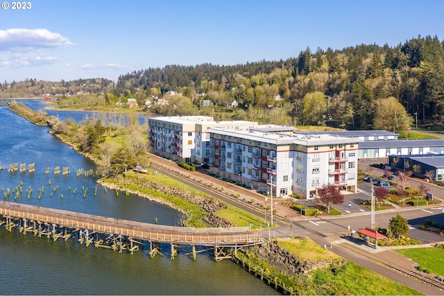 drone / aerial view with a water view