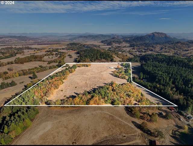 bird's eye view with a mountain view