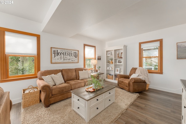 living room featuring hardwood / wood-style flooring