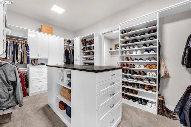 spacious closet with light carpet