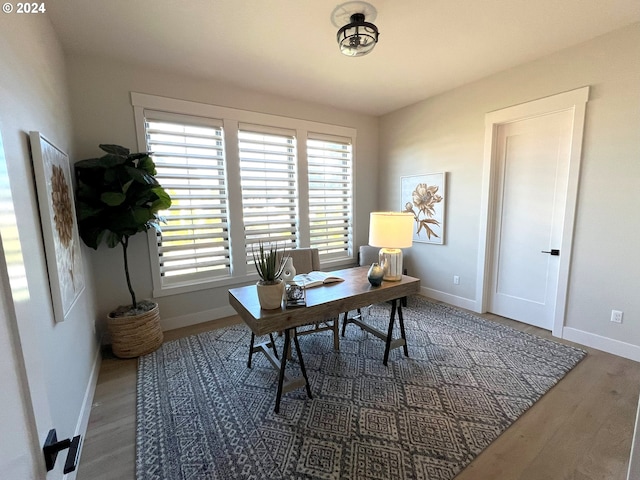 office with hardwood / wood-style floors