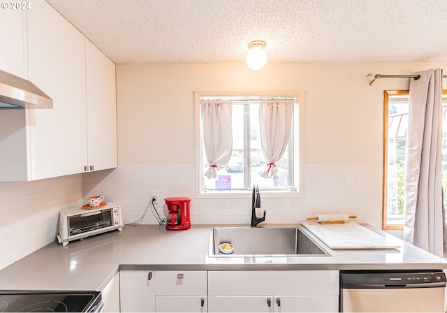 kitchen with white cabinetry, a healthy amount of sunlight, and stainless steel dishwasher