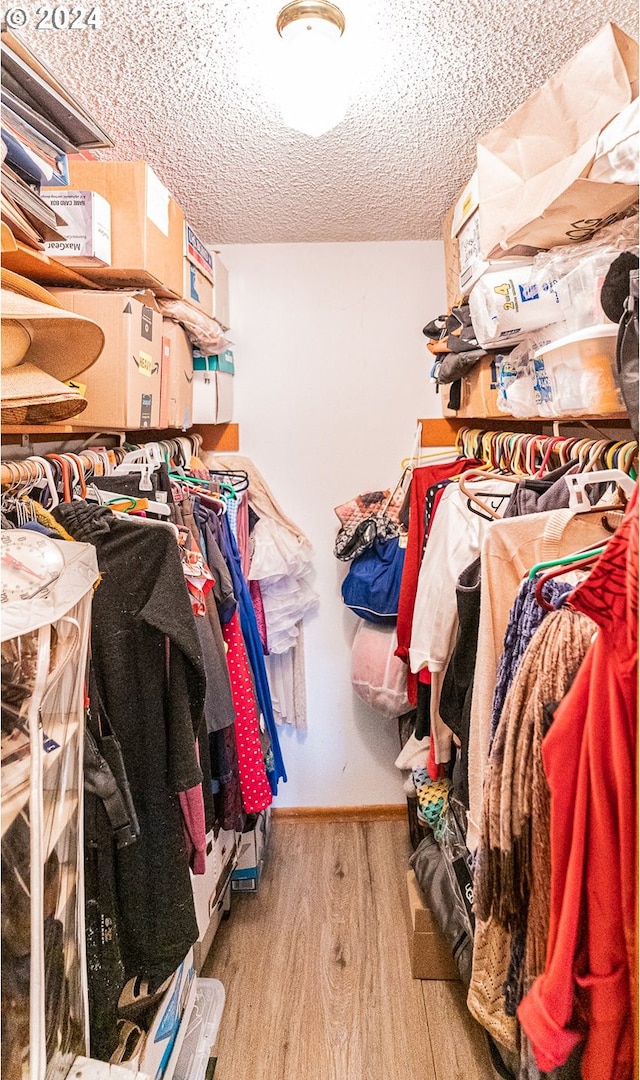 spacious closet with light hardwood / wood-style floors