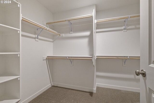 walk in closet featuring carpet